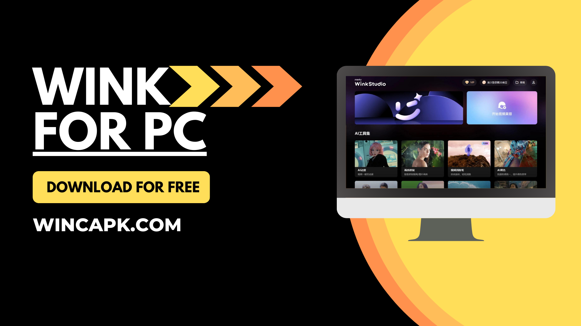 Wink Video Retouching Tool For PC Banner